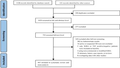 Indeterminate results of interferon gamma release assays in the screening of latent tuberculosis infection: a systematic review and meta-analysis